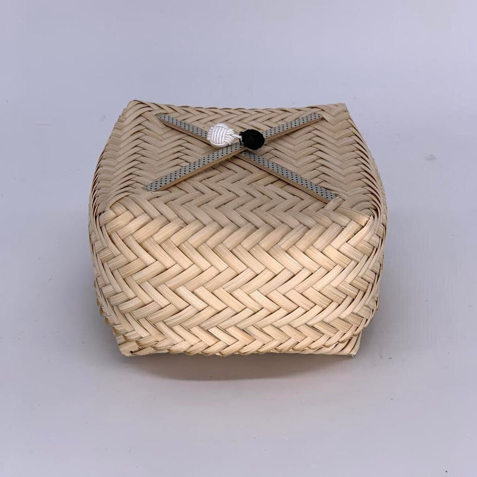 ABALONE 15cm