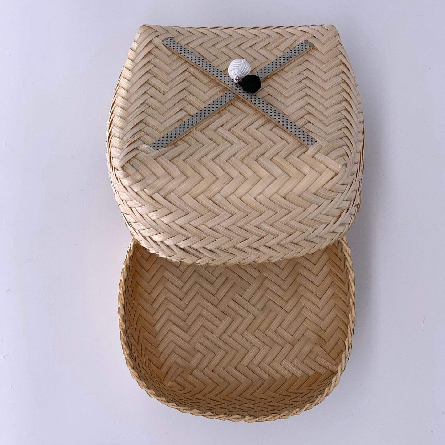 ABALONE 15cm