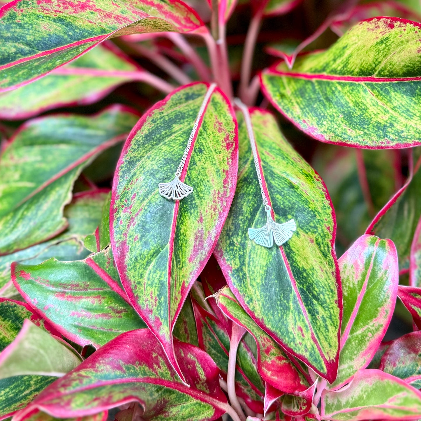 GINKGO [Scapular] Necklace