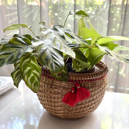 Giovanna [Nest Basket]
