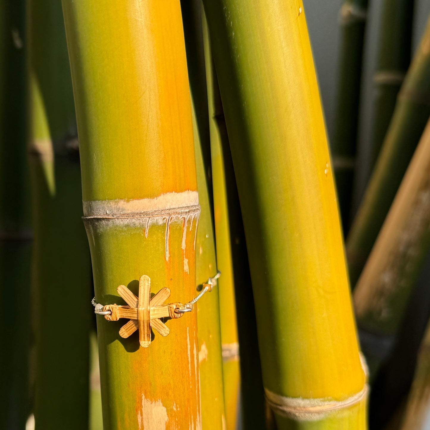 BAMBOO FLOWER [Chain]